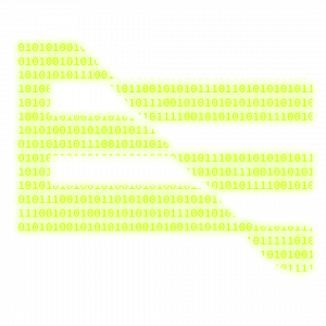 republik binary flag