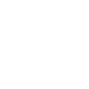 Signum Capital