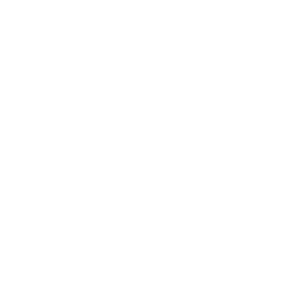 Oracles Investment Group